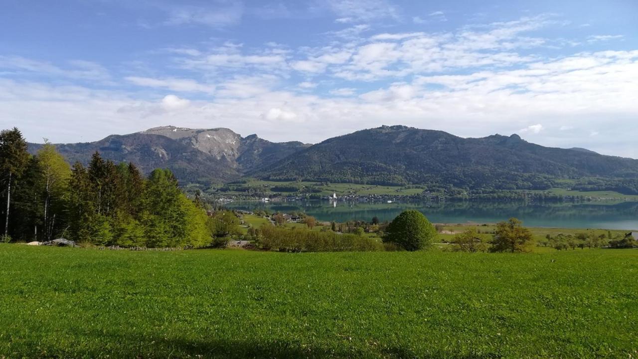 Appartementhaus Grill Strobl Eksteriør billede