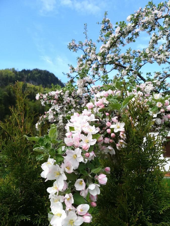 Appartementhaus Grill Strobl Eksteriør billede
